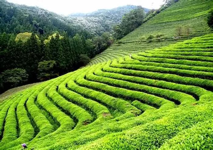 Beautiful landscape of Nigeria